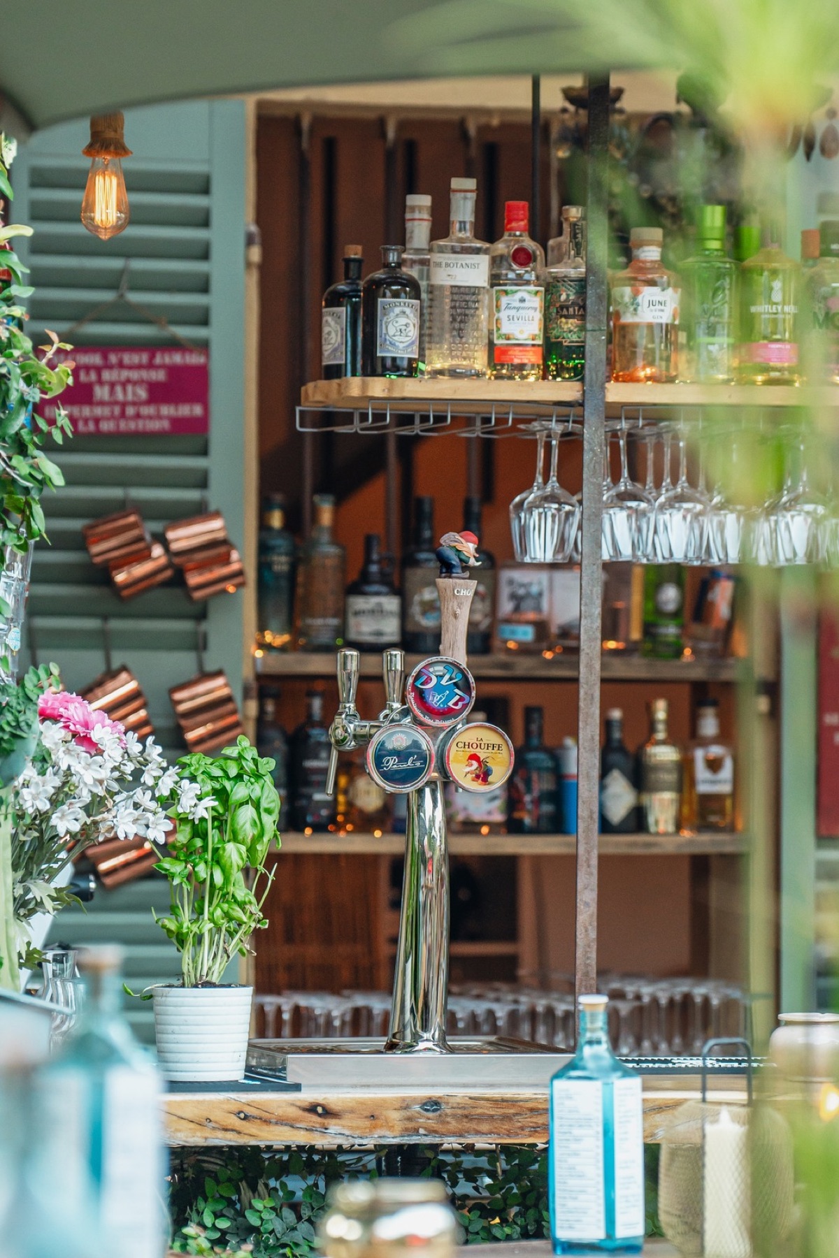 Étagère de gins au bar